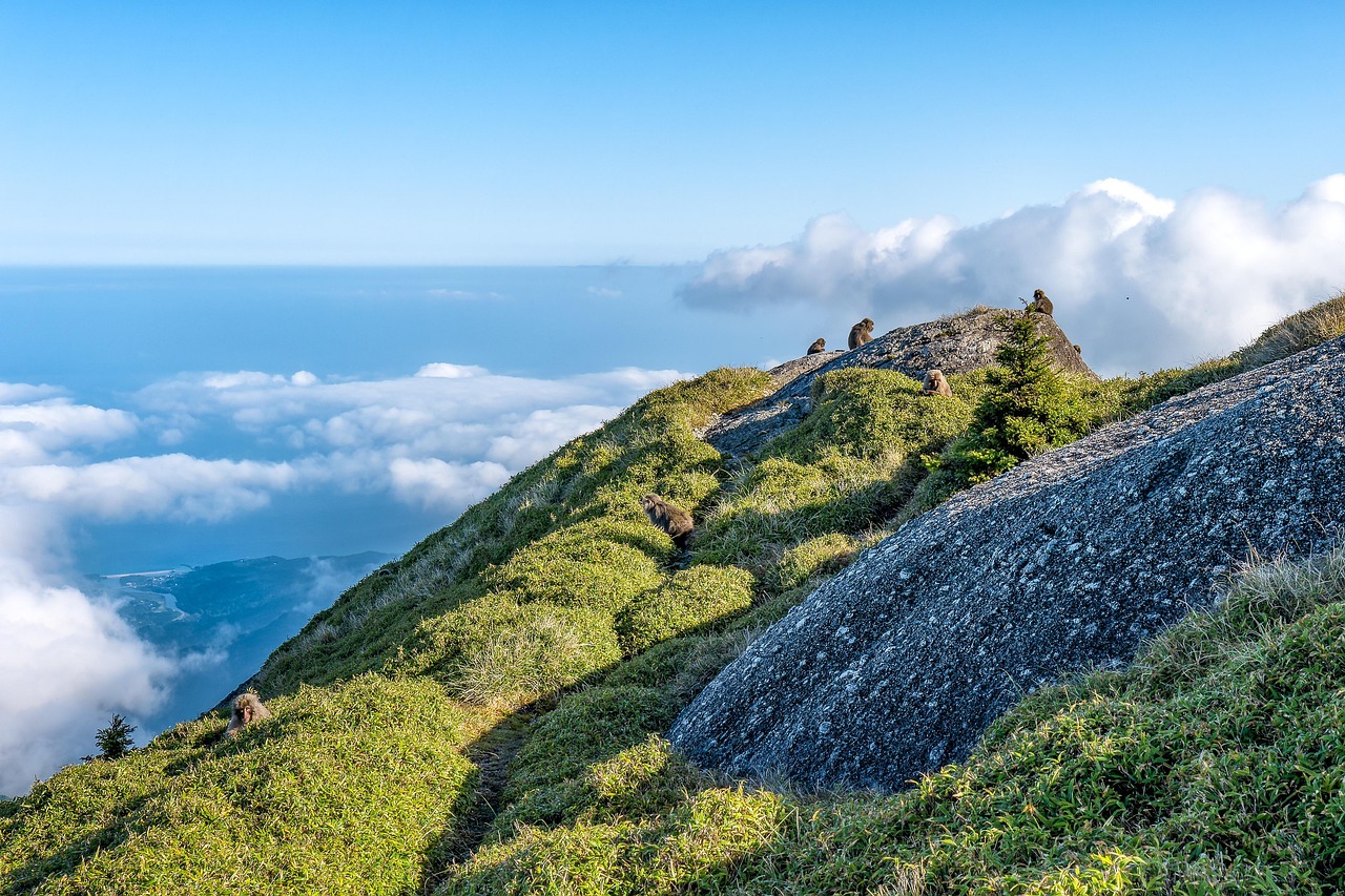 屋久島でのワーケーションに最適な場所は？