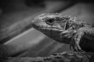 ワーケーションに最適なおすすめスポットは一人でも楽しめる？