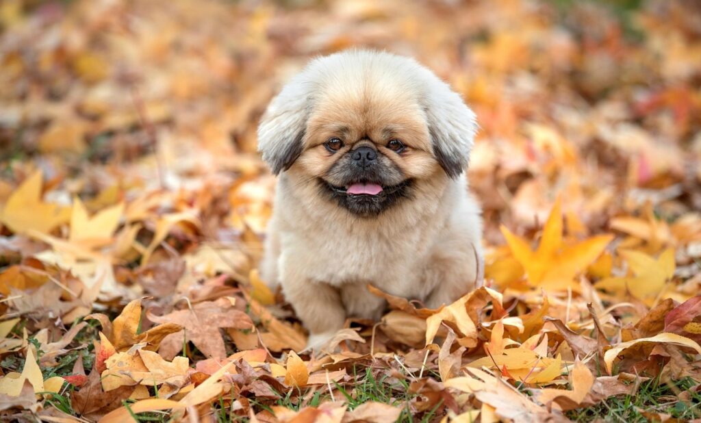 小豆島でのワーケーションに最適な場所は？