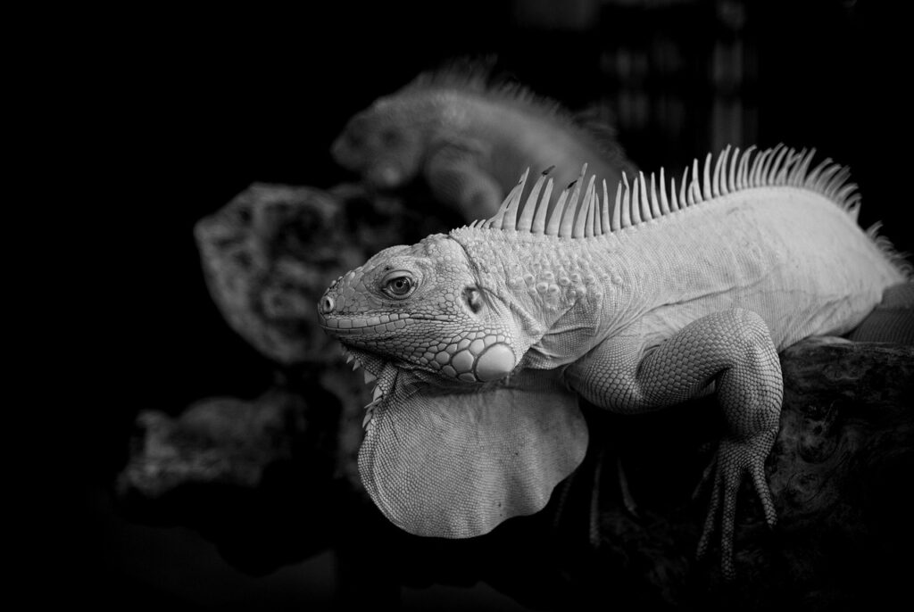 ワーケーションに最適な宮古島の魅力とは？