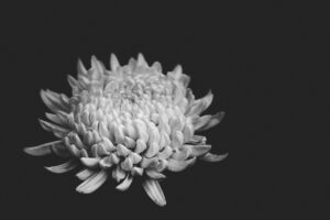 ノマドワーカーに最適なリュックの選び方は？