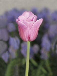 ワーケーションで一人でも快適に作業できる場所は？