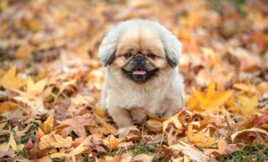 ワーケーションを成功させるためのサポートはどこで受けられる？