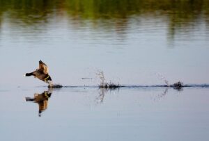 ワーケーションを格安で実現するためのポイントは？