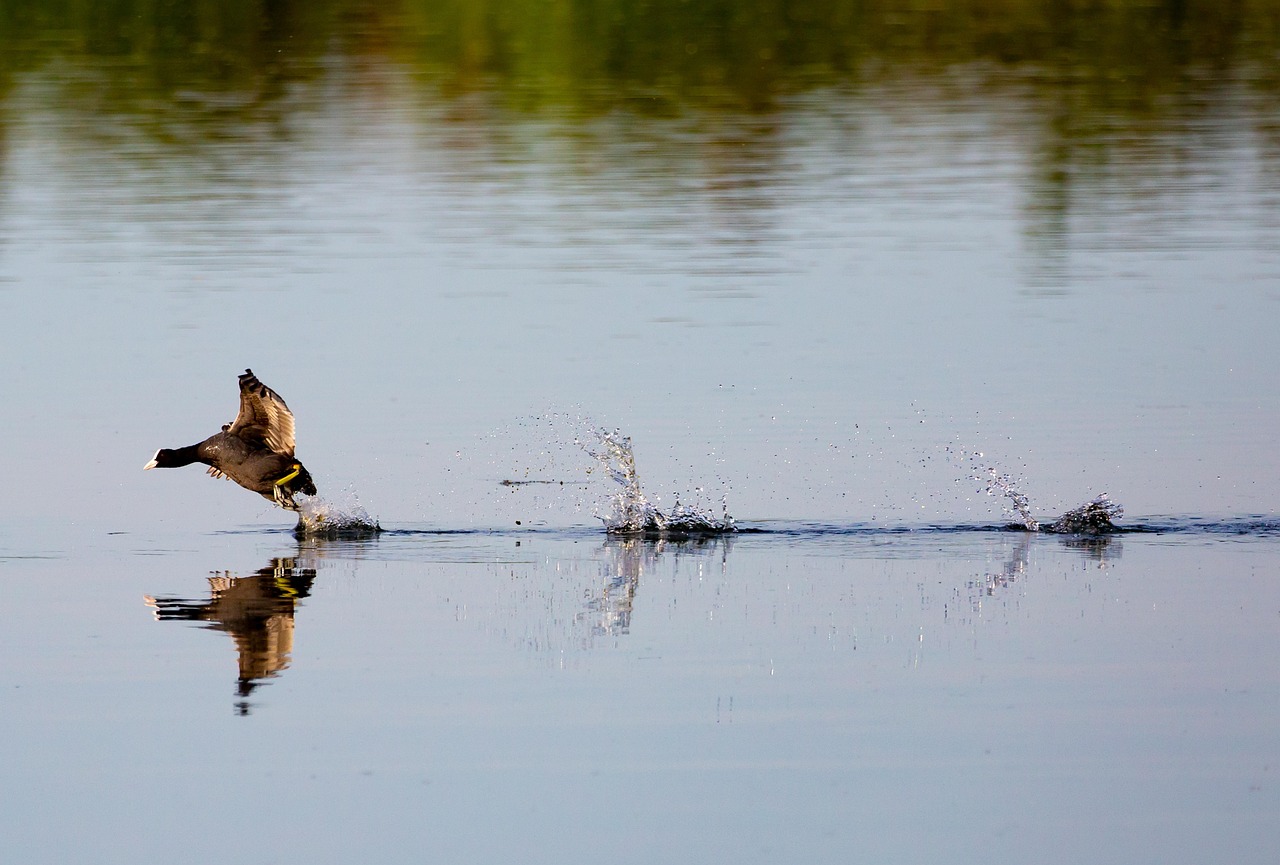 ワーケーションを格安で実現するためのポイントは？