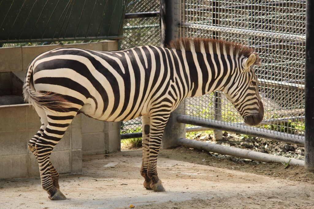 現実逃避できる場所福岡でリフレッシュするためのおすすめスポットは？