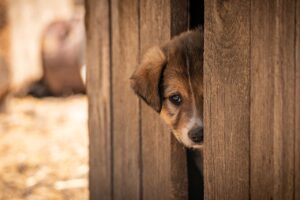 一人旅でのワーケーションに最適な宿の選び方は？